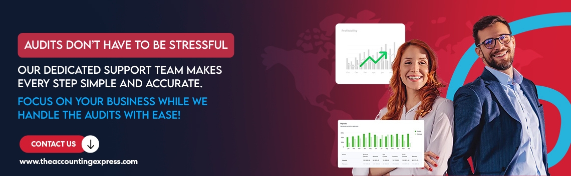 Audit Support Services