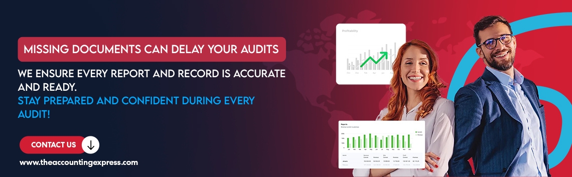 Audit Support Services