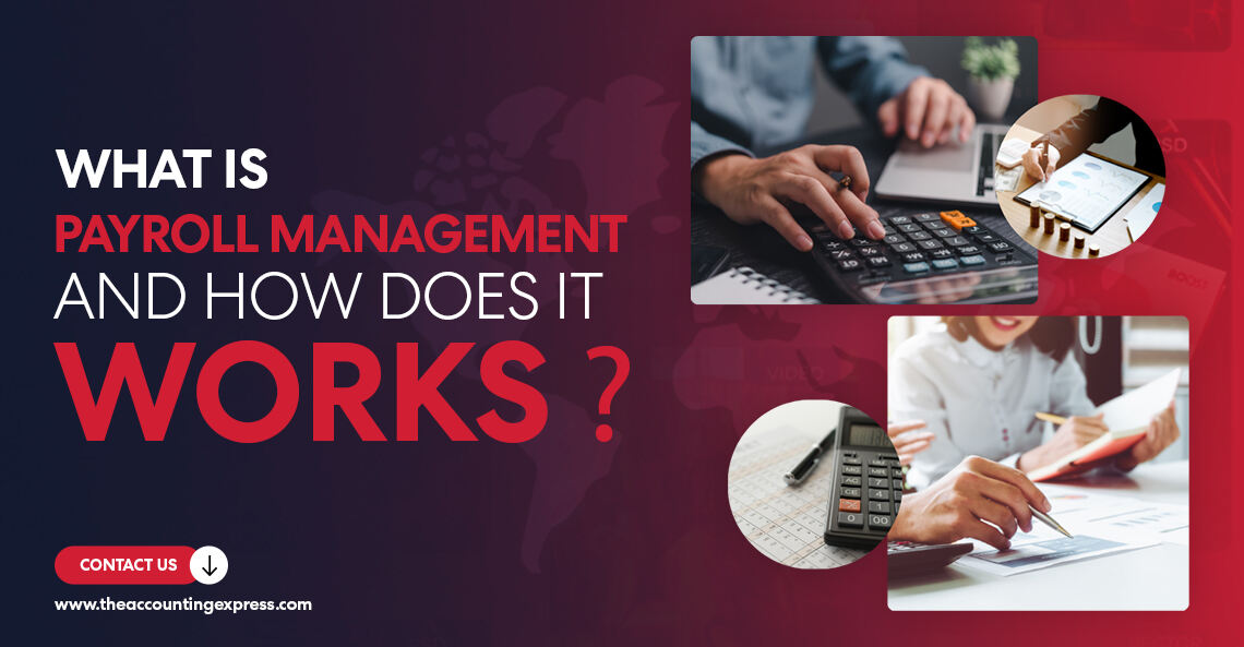 What Is Payroll Management and How Does It Work - The Accounting Express